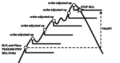 Can help protect potential profits while providing downside protection. How to Profit from a Trailing Stop Loss in an Altcoin Bull ...