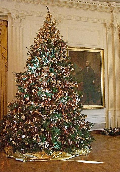 The vatican christmas tree, also called the saint peter's square christmas tree, is the decorated tree that is erected annually in the saint peter's square directly in front of st. The White House Office Photos | Glassdoor