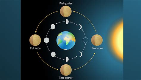 Position Of Sun Moon And Earth On Full Day The Earth Images Revimageorg