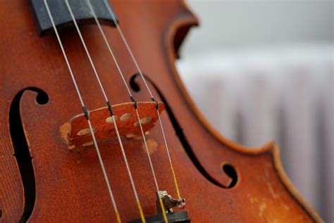 The Best Violin Strings Notestem
