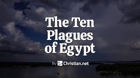 Exodus 78 11 The Ten Plagues Of Egypt Bible Stories Exodus 78