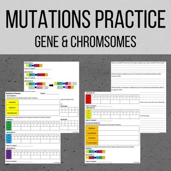 DNA Mutations Practice Worksheet With Answer Key - Laney Lee