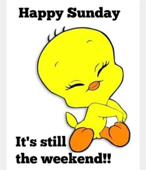 Happy Sunday Happy Sunday Quotes Sunday Quotes Sunday Greetings