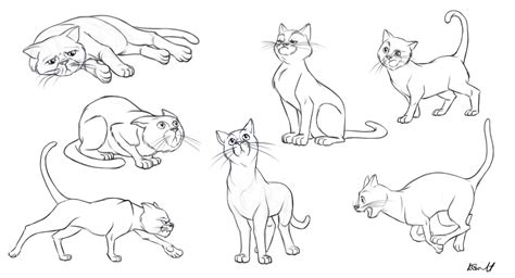 Cat Drawing Poses At Getdrawings Free Download