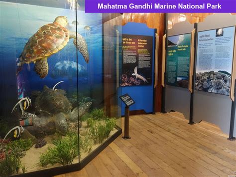 Mahatma Gandhi Marine National Park Andaman And Nicobar Islands
