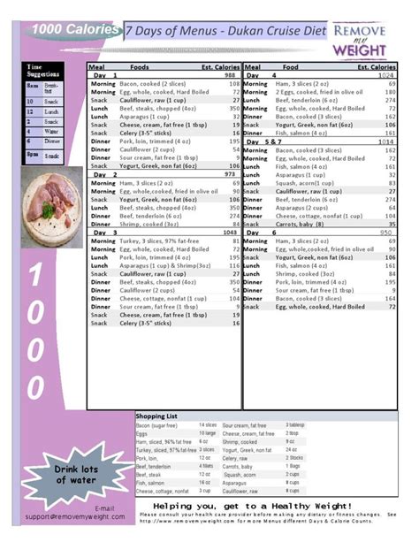 Dr Nowzaradan Diet Plan Printable Customize And Print