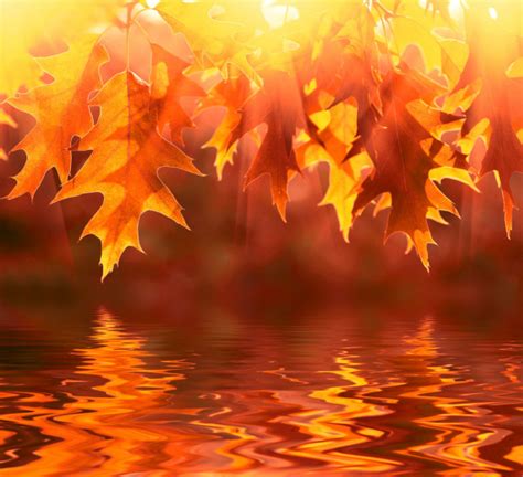 Red Autumn Leaves Reflecting In The Water Stock Photo By ©silverjohn