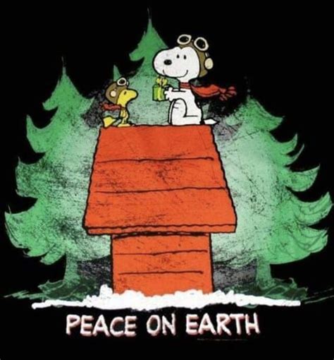 Peace On Earth Pictures Photos And Images For Facebook Tumblr
