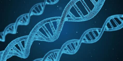 We did not find results for: Chronic vs Communicable Disease | University of Nevada, Reno