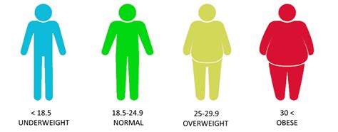 Check Your Body Mass Index Bmi With Our Simple Calculator
