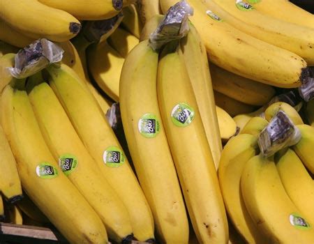 What does berangan mean in english? Pisang Serat adalah tanaman pisang yang tidak diambil ...
