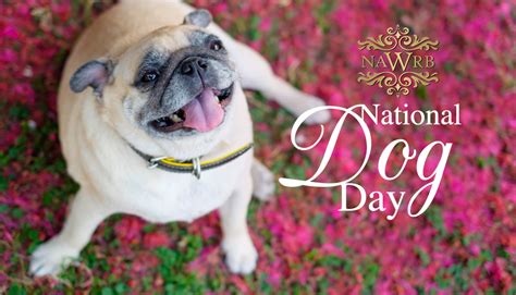 Happy National Dog Day Nawrb