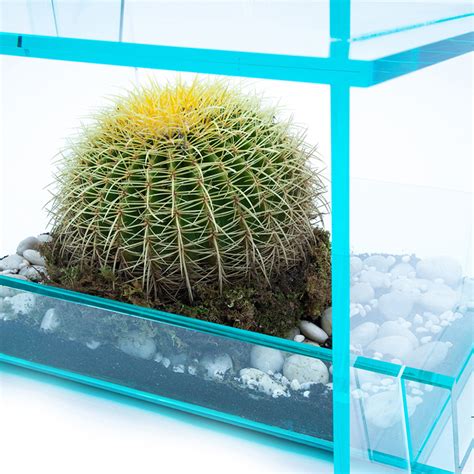 Got that special someone you just don't know how to describe your hatred for? Are You Brave Enough To Sit In This Cactus Chair?