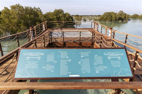 Jubail Mangrove Park In Abu Dhabi All You Need To Know From Ticket