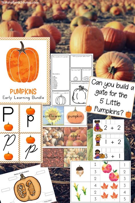 Check out this huge list of fun, differentiated and effective activities for kindergarteners! Best Kindergarten and Preschool Pumpkin Theme Lesson Plan ...