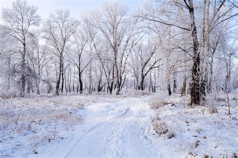 Snow Frost Landscape · Free Photo On Pixabay