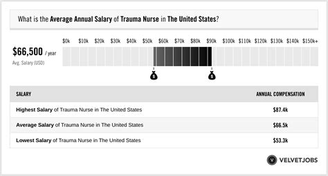Trauma Nurse Salary (Actual 2023 | Projected 2024) | VelvetJobs