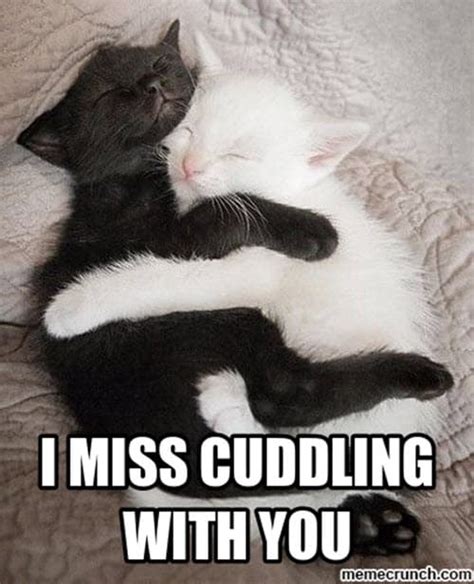 25 Cutest Cuddle Memes
