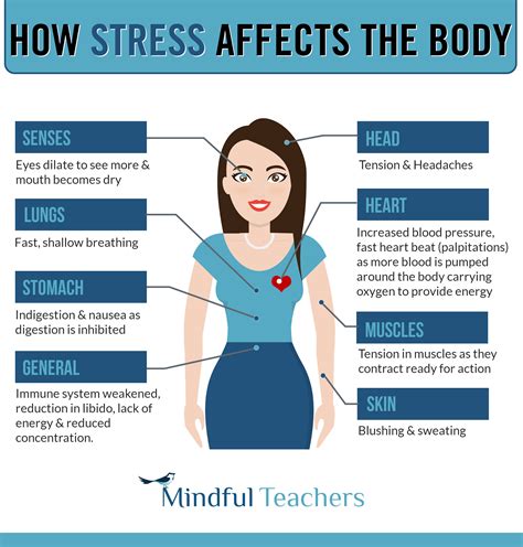 How Stress Affects The Body - mindfulteachers.com