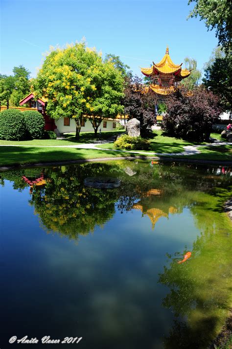 The island is located on the north side of the mouth. China Garten mitten in Zürich Foto & Bild | landschaft ...