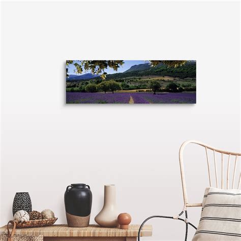 Mountain Behind A Lavender Field Provence France Wall Art Canvas