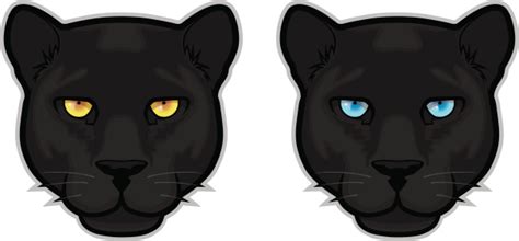 Black Panther Heads Stock Illustration Download Image Now Istock