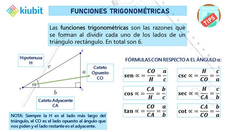 Ejemplos De Funciones Trigonom Tricas Una Gu A Para Entenderlas