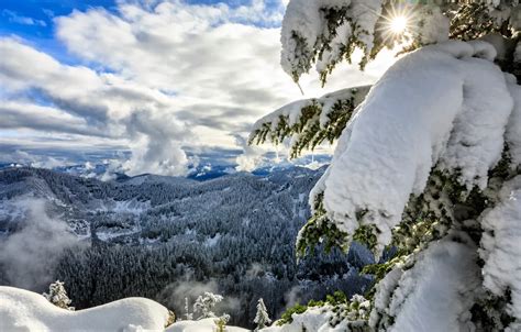 Wallpaper Winter Forest Clouds Snow Mountains Spruce Panorama