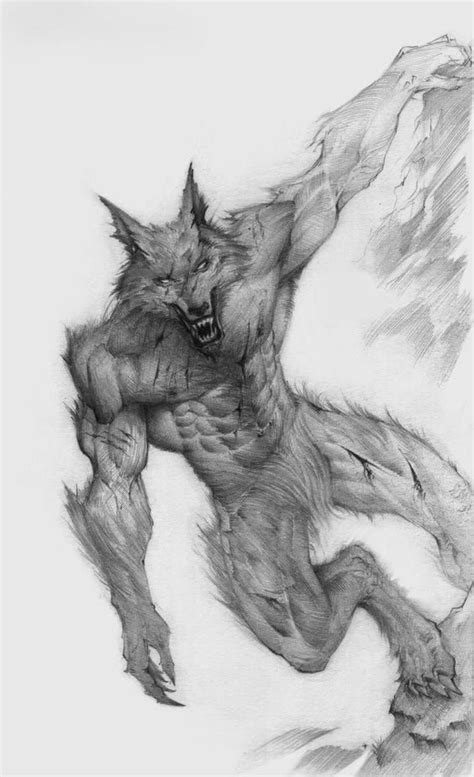 Pin By Kim Jensen On Волки Werewolf Drawing Werewolf Werewolf Art
