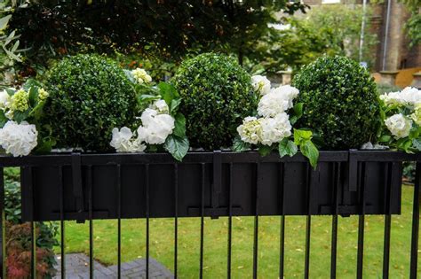 Window boxes are not just for flowers. Pin by Linda Buchner on Flowers/ Plants | Window box ...