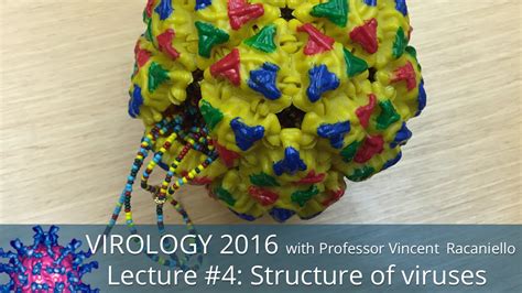 Virus, infectious agent of small size and simple composition that can multiply only in living cells of animals, plants, or bacteria. Virology Lectures 2016 #4: Structure of viruses - YouTube