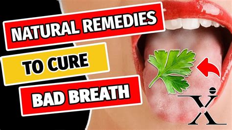 Effective Remedies To Cure Bad Breath How To Get Rid Of Bad Breath
