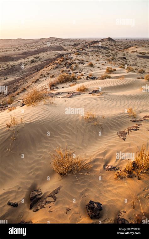 Rocky Sand Dunes At Sunrise In The Thar Desert Of Eastern Rajasthan