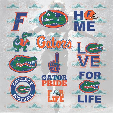 Florida Gators Florida Gators Football Florida Gators Logo Florida