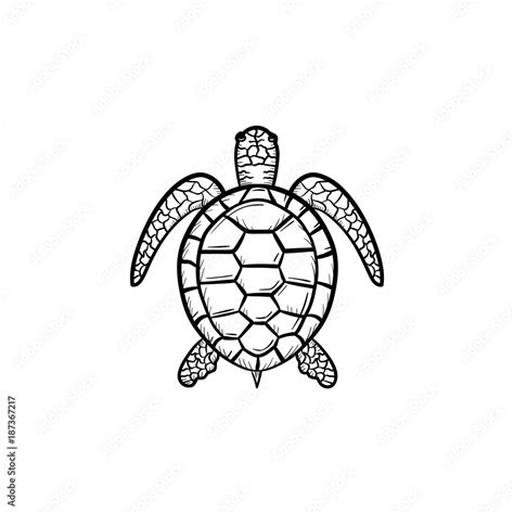 Vector Hand Drawn Turtle Outline Doodle Icon Turtle Sketch