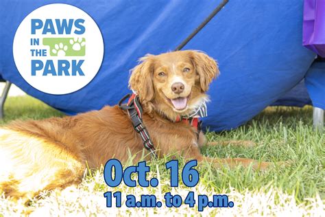 Oct 16 | Paws in the Park | Old Town Alexandria, VA Patch