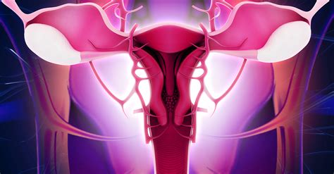 The Difference Endometrial Cancer And Uterine Sarcoma Ctca