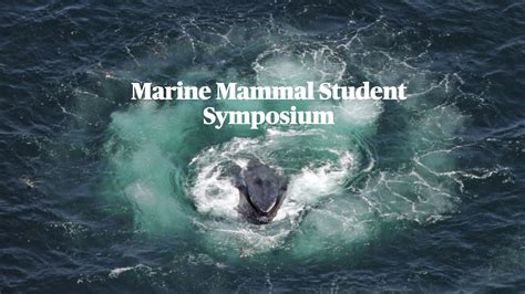 13 March 2021 Upcoming Marine Mammal Student Symposium Nammco
