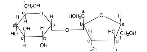 Which Of The Following Carbon Is Anomeric In Glucose