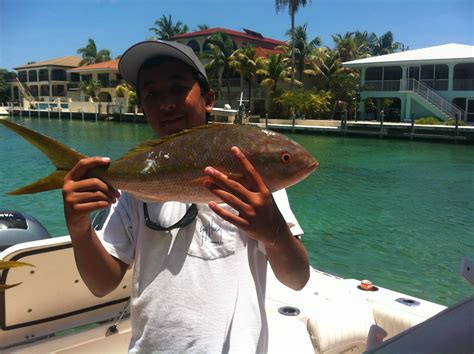 Reef Fish Photos From Duck Key And Marathon Florida Keys Fishing