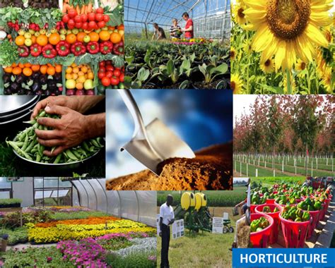Horticulture Tab Jardins Et Motoculture