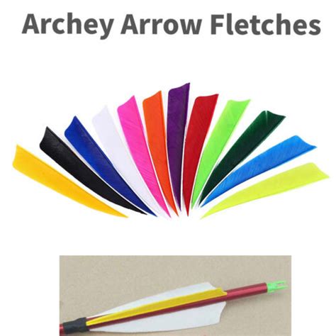 12pcs 4in Archery Fletch Full Length Feather For Wooden Carbon Fiber