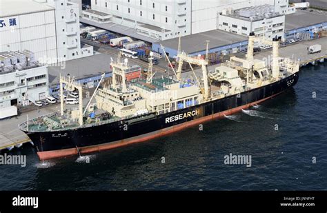 Tokyo Japan The 8044 Ton Nisshin Maru The Lead Ship Of A Japanese