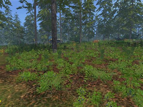 Fs17 Forest Undergrowth V 1 Textures Mod Für Farming Simulator 17