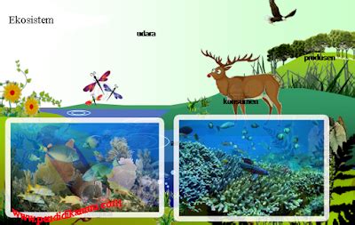 Pengertian Ekosistem Lengkap Beserta Komponen Dan Jenis Jenisnya Mutualist Us