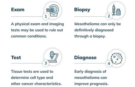 Mesothelioma Diagnosis Process Tests And Early Detection