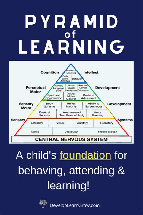 The Pyramid Of Learning Artofit