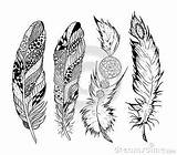 Colouring Feathers Feather sketch template