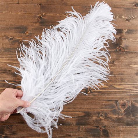 Download Natural White Ostrich Feathers - Feathers - Basic Craft ...