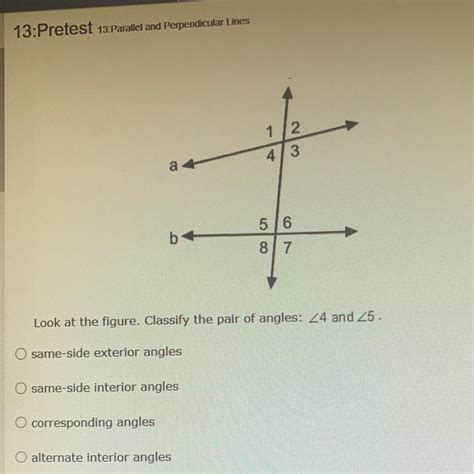 Look at the figure. Classify the pair of angles: